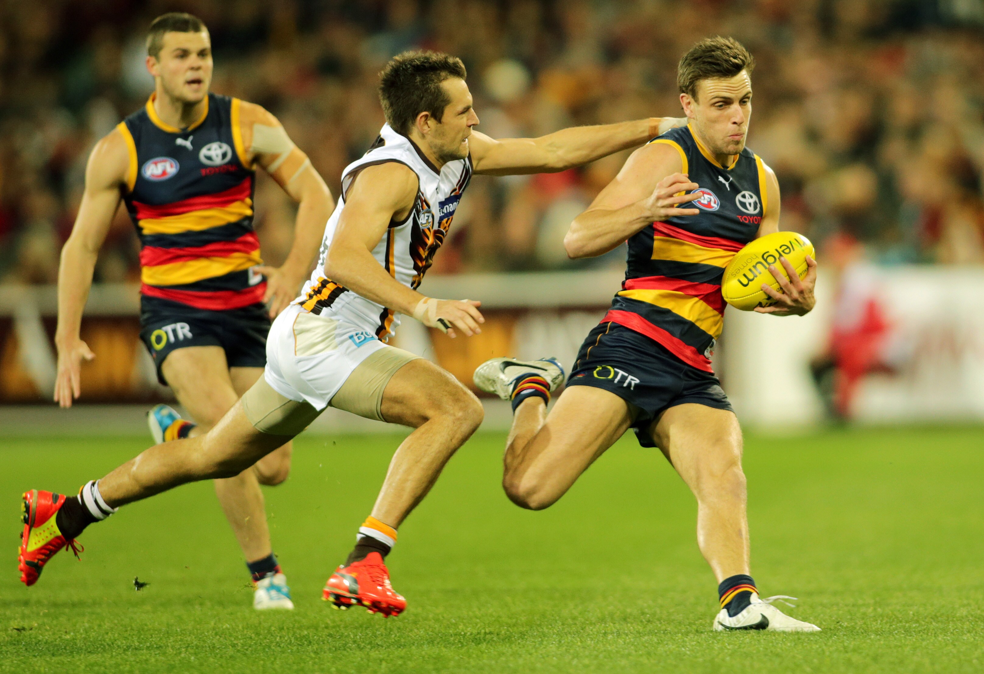 Sports Crows New Crows contender for sprint crown
