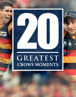 Vibrant Crows Superstar Makes Surprise Retirement Call Photo Concept Vibrant Crows Superstar Makes Surprise Retirement Call Photo Concept