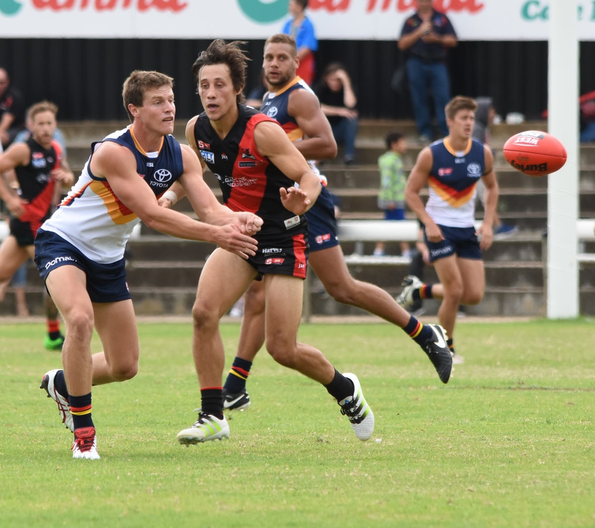 SANFL Preview Crows v Bloods
