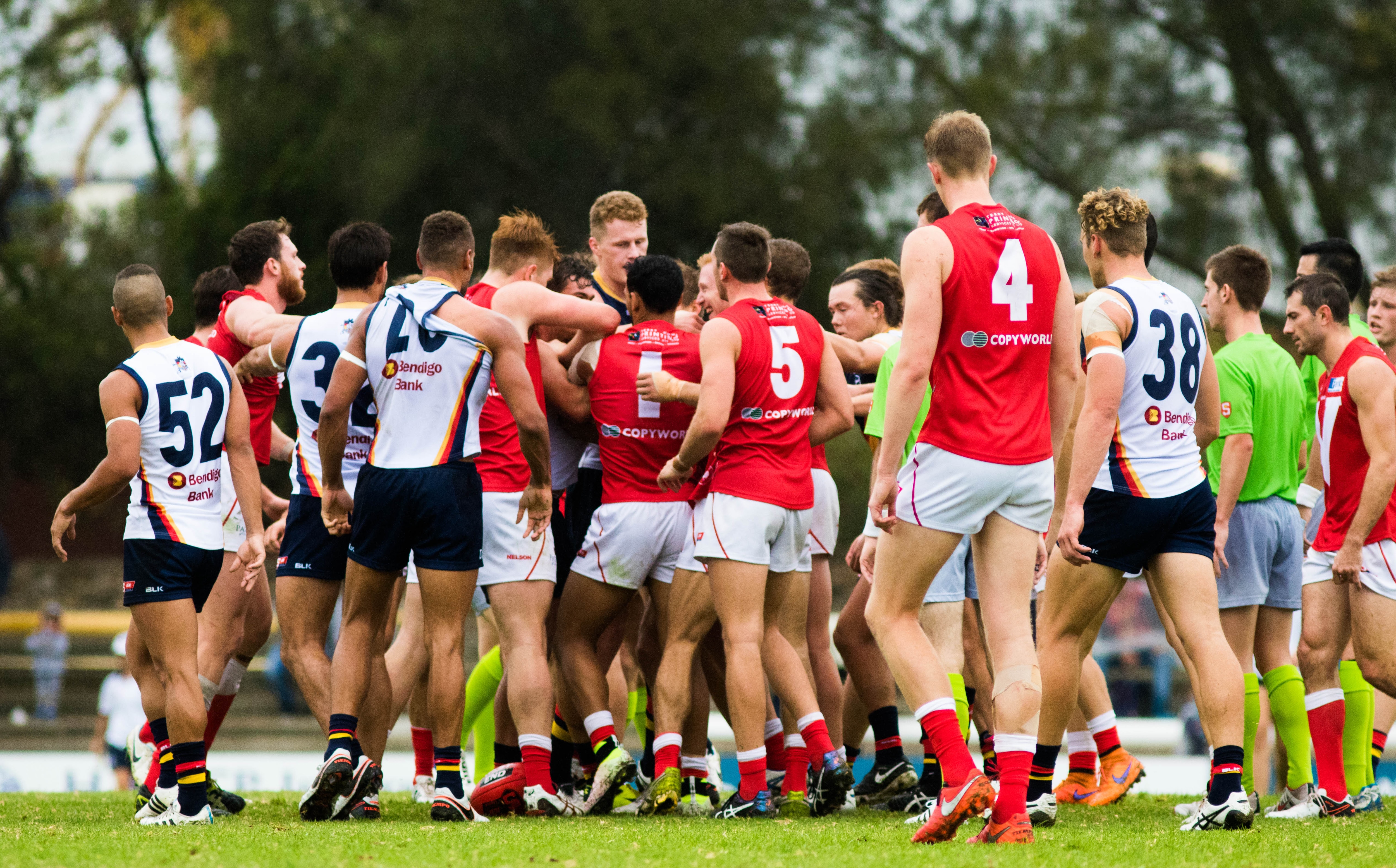 SANFL Preview Crows V Roosters