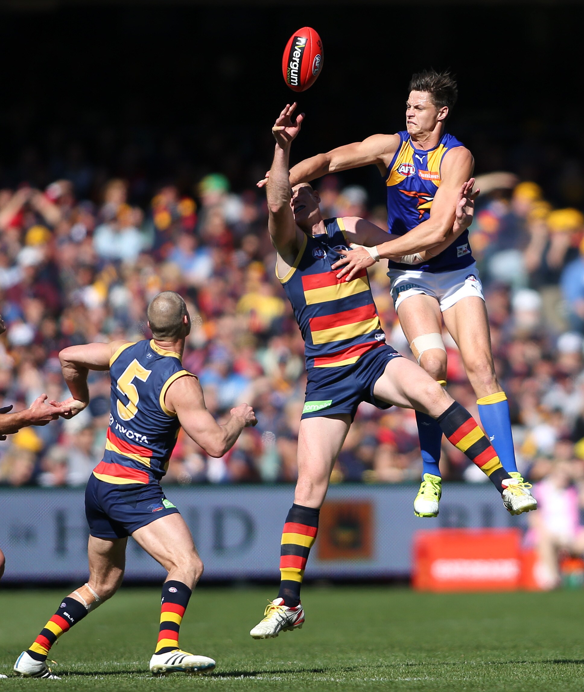 Vote now for your best Crows