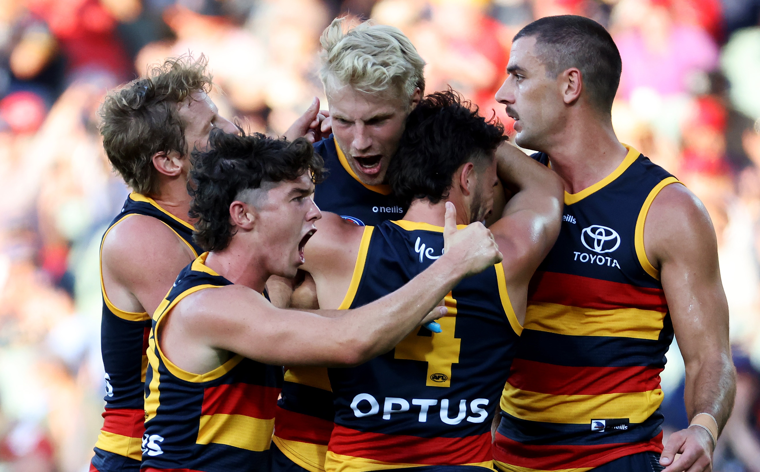 Stunning Crows Superstar Makes Surprise Retirement Call Background for Your Screen Stunning Crows Superstar Makes Surprise Retirement Call Background for Your Screen