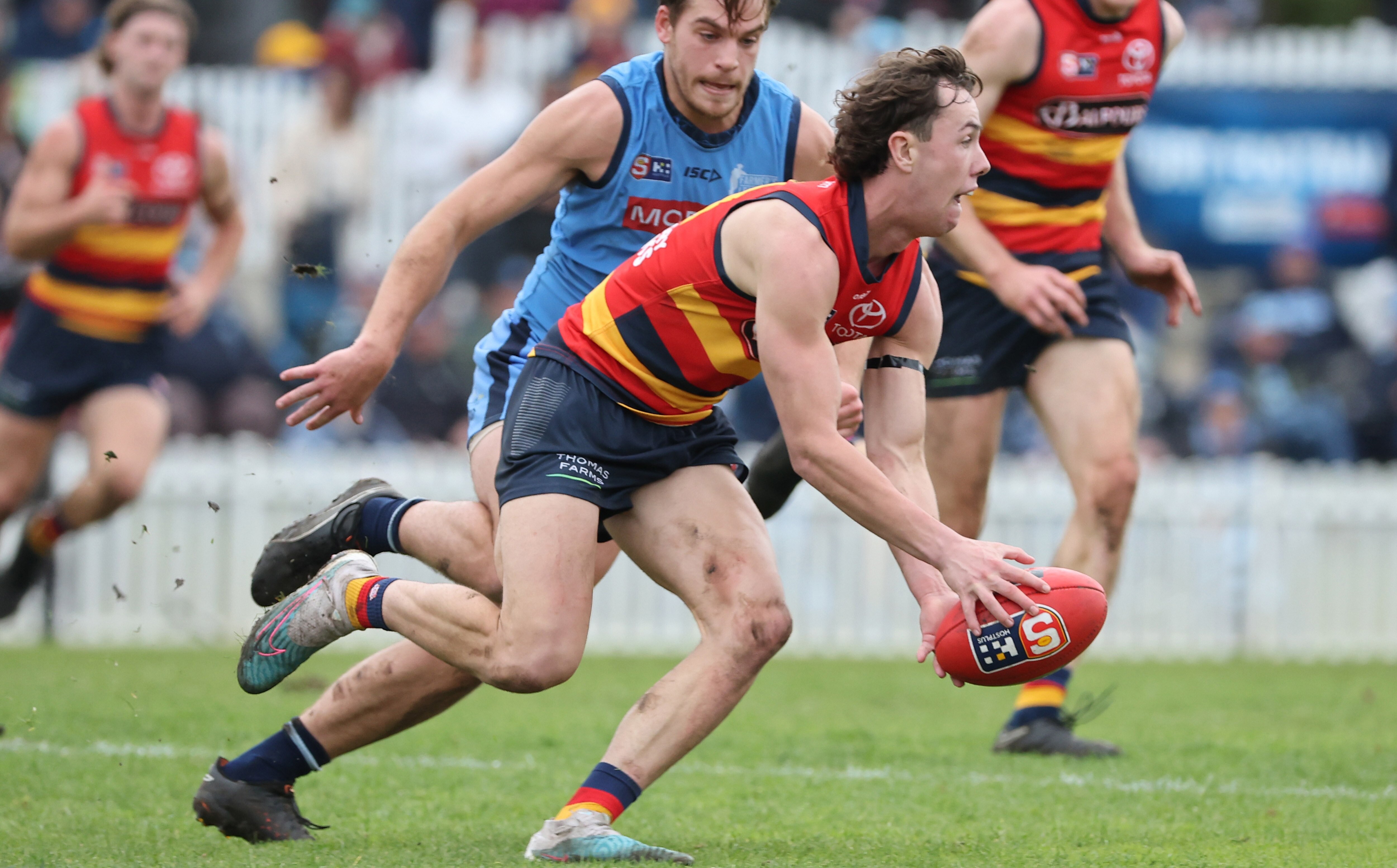 SANFL Round 17 Five Key Takeaways