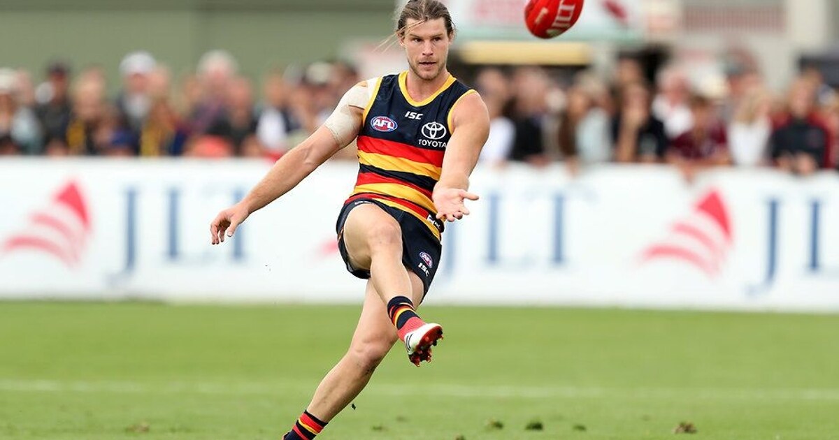 Gibbs chemistry focus