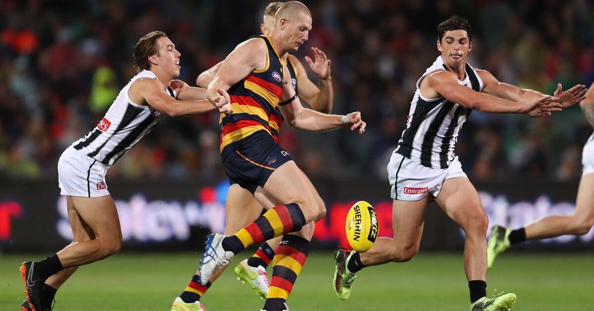 Preview Adelaide V Collingwood