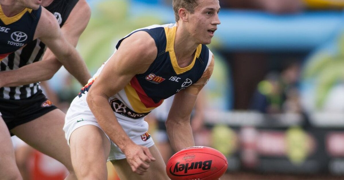 SANFL season stats summary