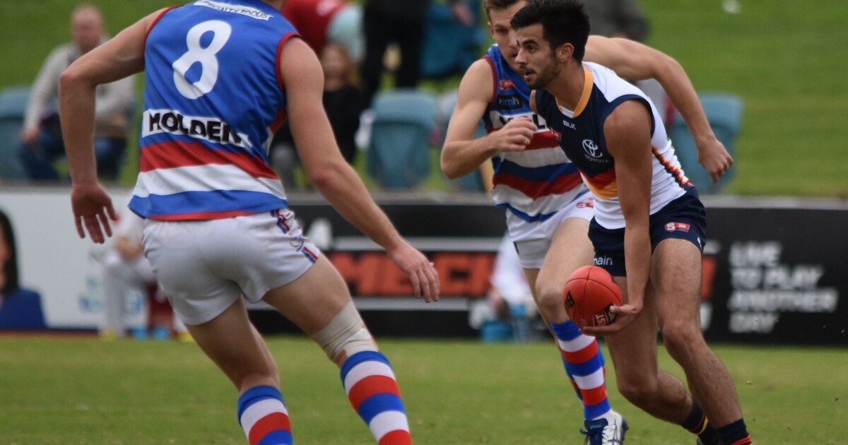 SANFL Preview Crows V Bulldogs