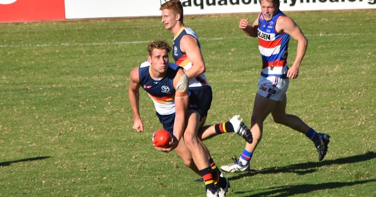 SANFL Preview Crows V Bulldogs