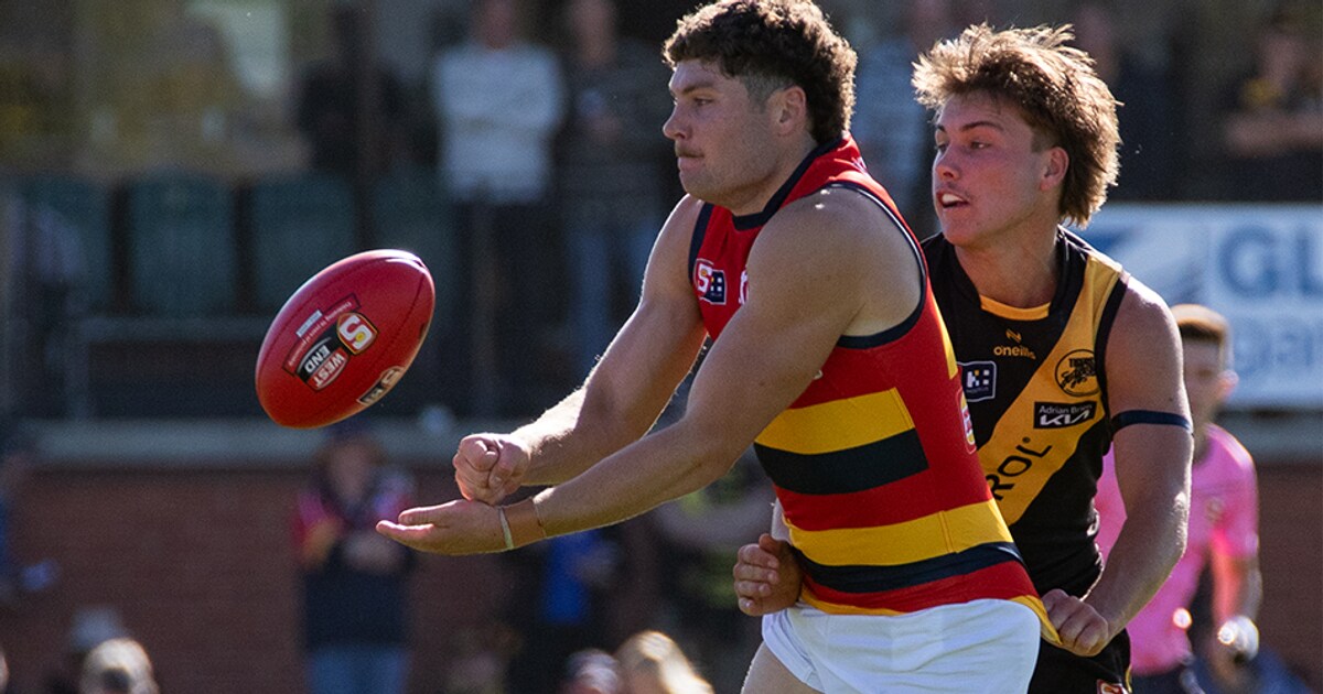 Schoenberg recounts successful SANFL return