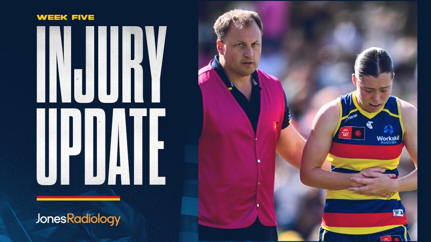 WebCycler 952x592 (009)