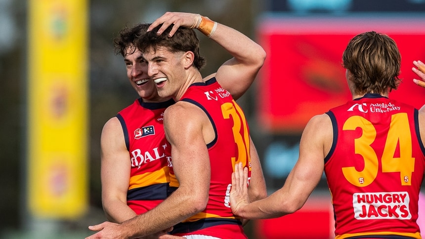 SANFL WEB