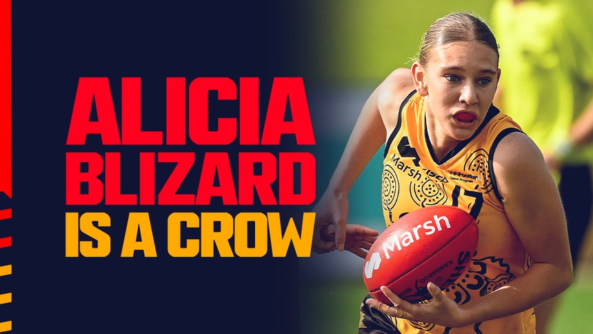 Blizard FB-X-Web 1200x628