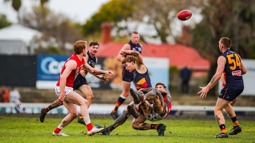 sanfl report web