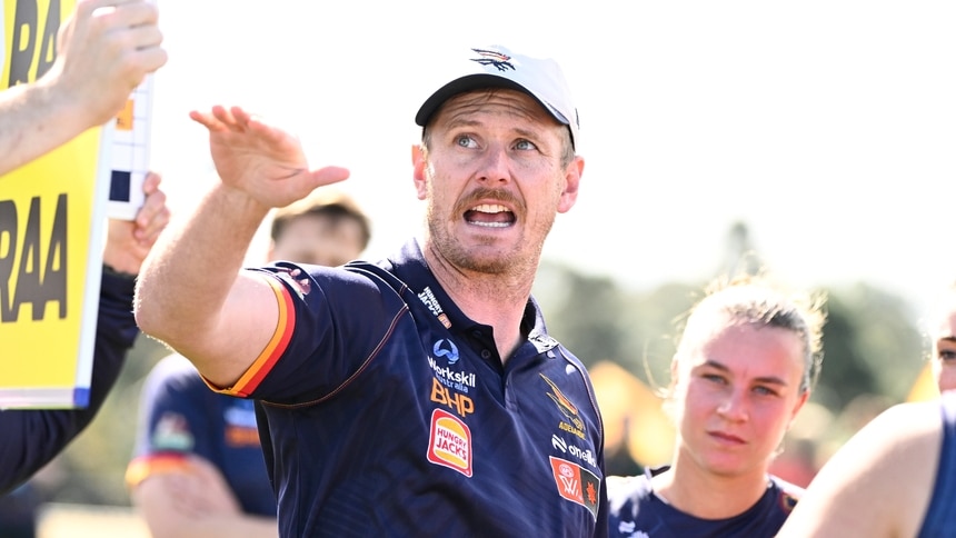 Ryan Dabis v Hawthorn