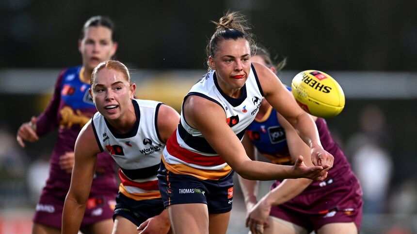 Noffy v Brisbane